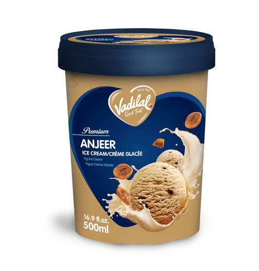 Vadilal Premium Anjeer Fig Ice Cream