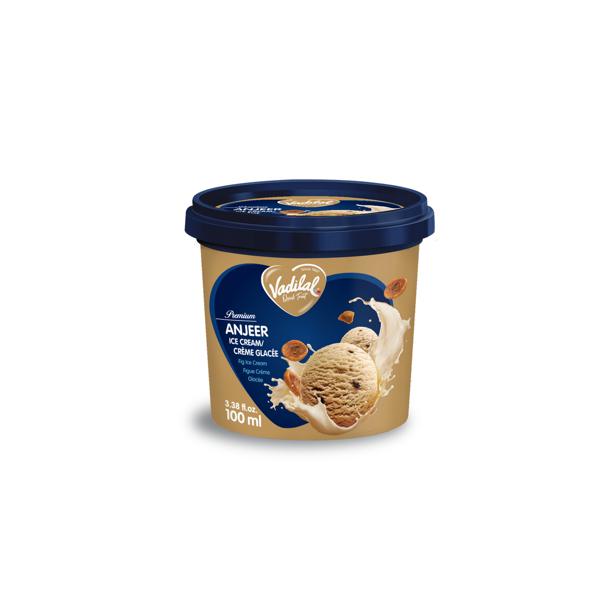 Vadilal Premium Anjeer Fig Ice Cream