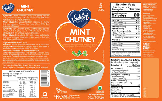 VADILAL MINT CHUTNEY 300G